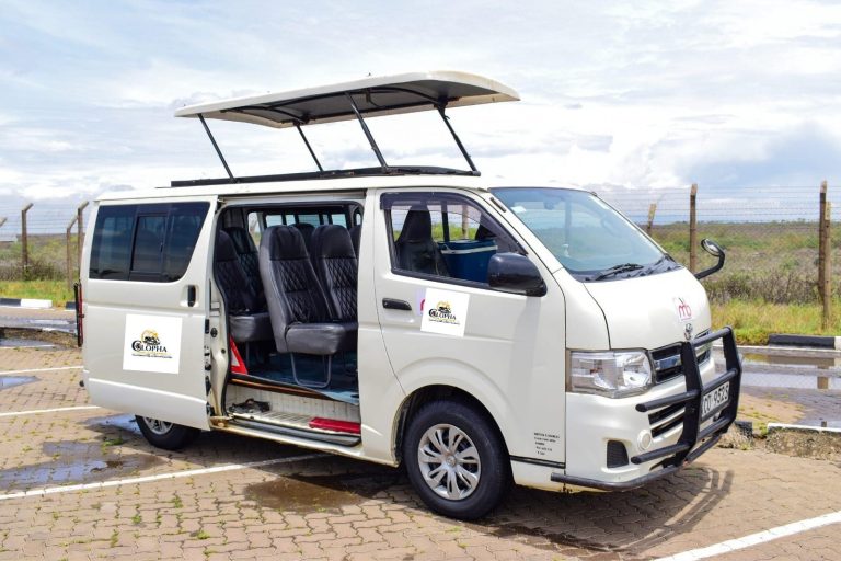 Luxury Van