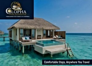 Honeymoon Suites