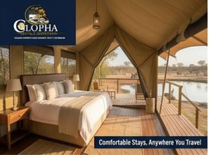 Safari Lodges